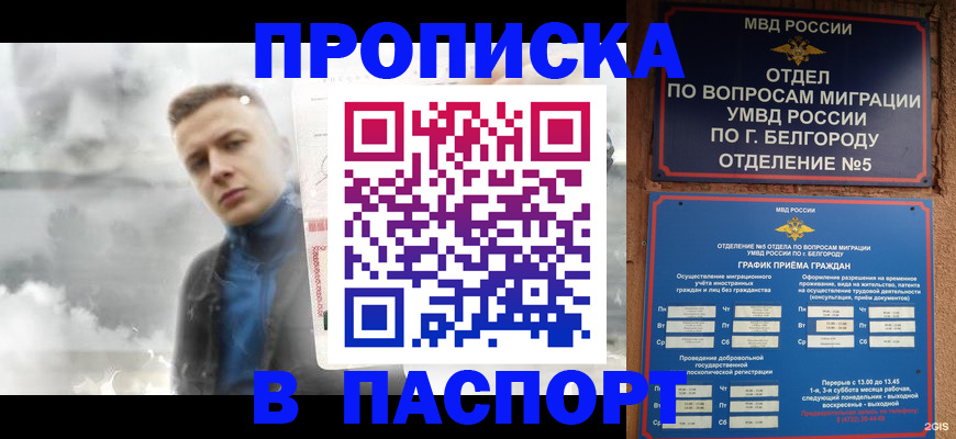 временная регистрация в Луге